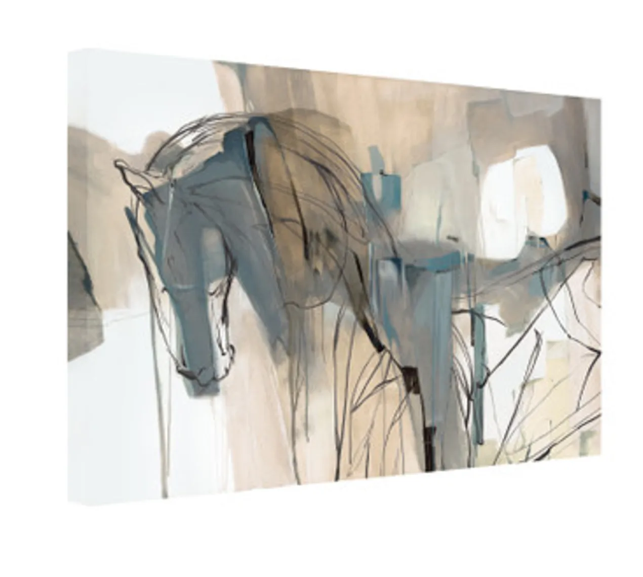 Equine II