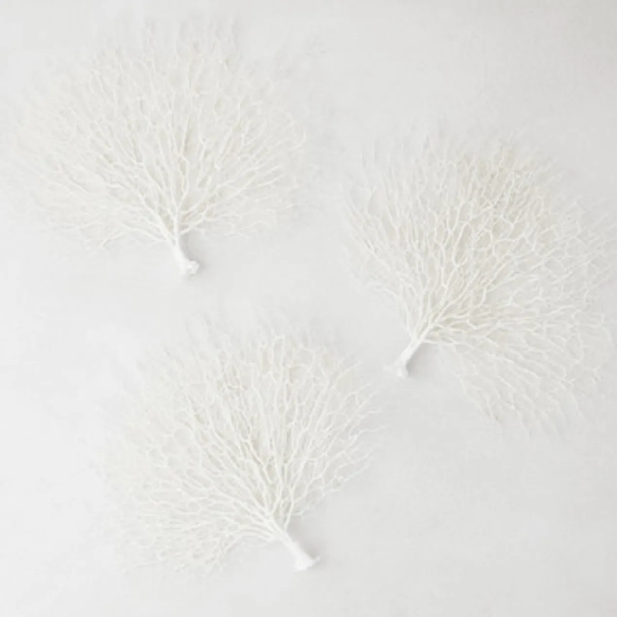 Faux Coral Fan - Set of 3