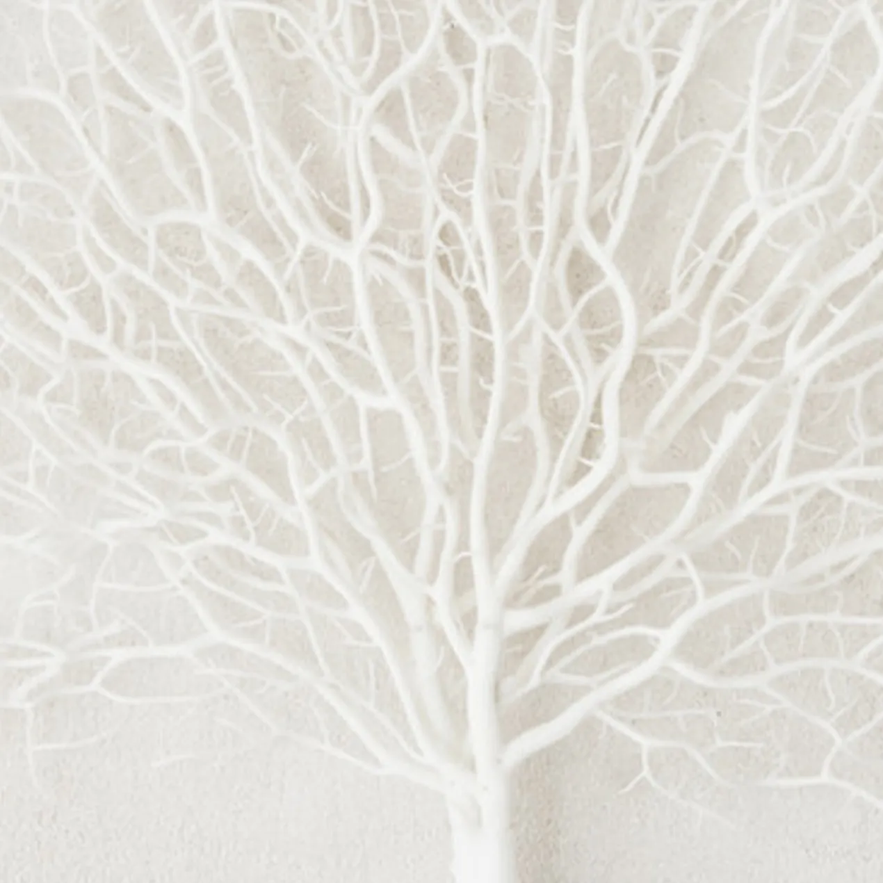 Faux Coral Fan - Set of 3