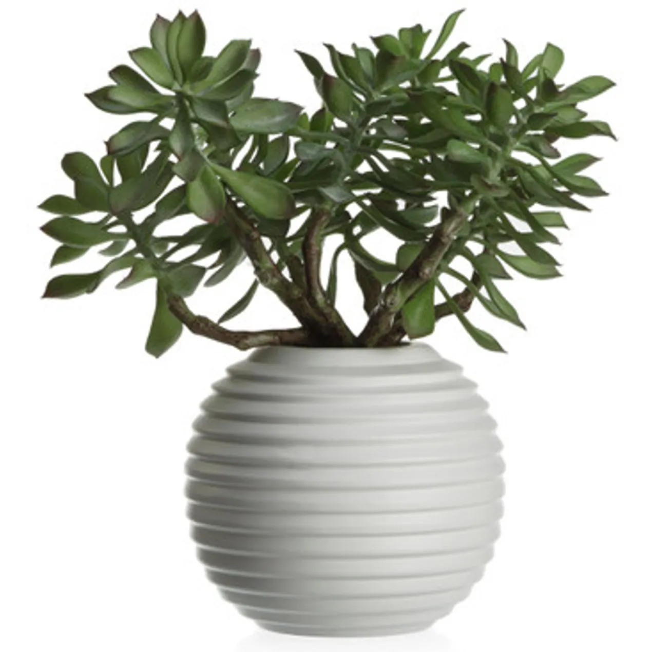 Faux Sedum Succulent Pick - Set of 3