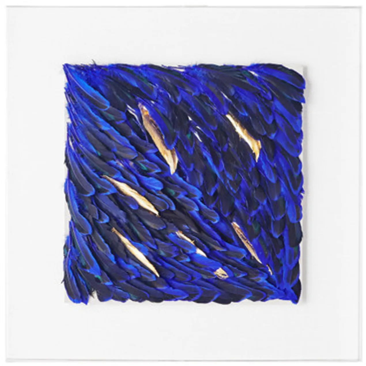 Jewel Feather 2