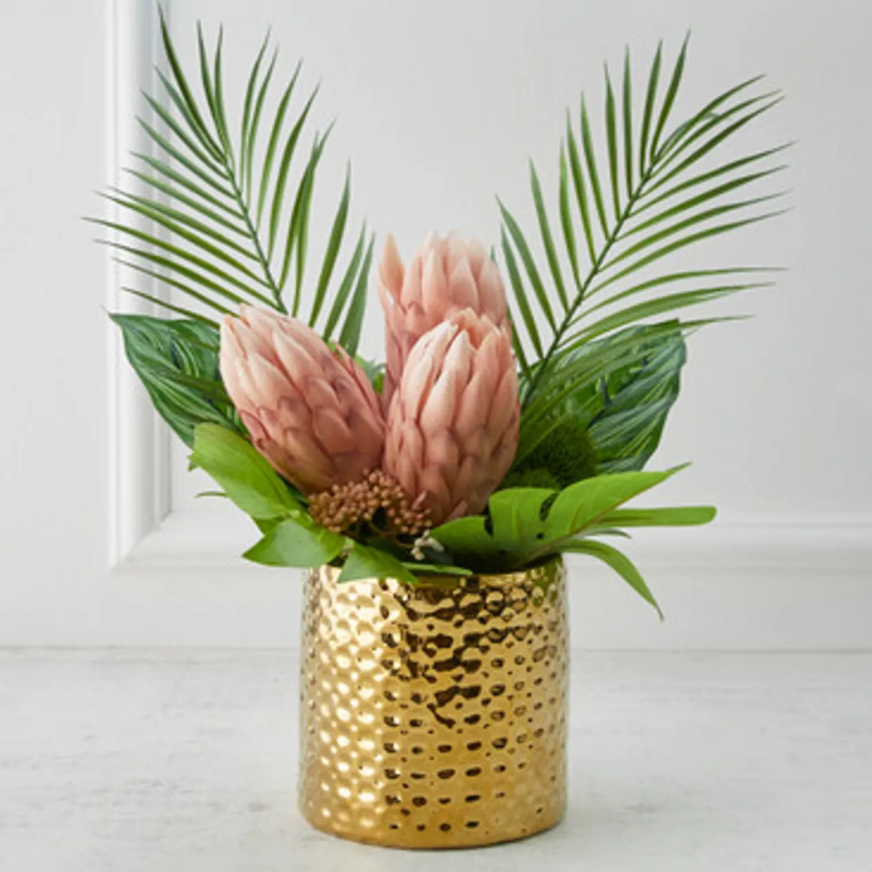 Protea In Pot - Blush